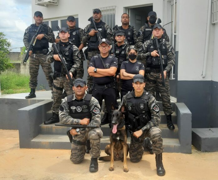 Os policiais penais que integram o grupamento especializado passam por treinamentos de policiamento ostensivo - Créditos: Divulgação/Governo do Tocantins